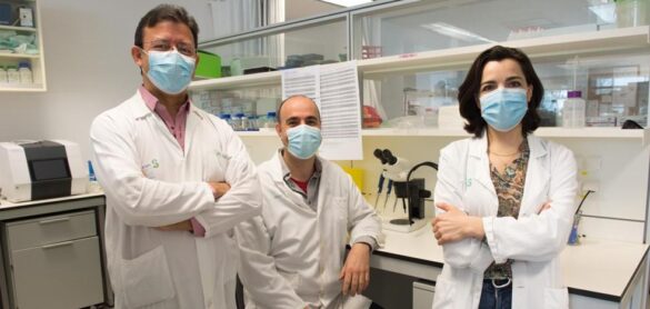 implantan-con-exito-dispositivos-electronicos-en-cerdos-para-tratar-lesiones-medulares