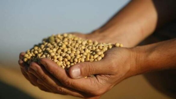 estos-son-los-alimentos-que-contienen-mas-niquel:-pueden-provocar-alergias-en-la-piel