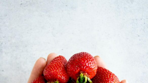 una-variedad-de-fresas-podria-lograr-retrasar-los-sintomas-del-alzheimer,-segun-un-estudio