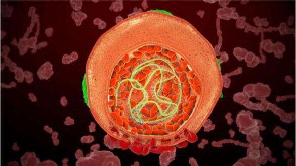 sintomas-de-la-hepatitis-aguda-infantil:-causas-y-prevencion-de-la-enfermedad