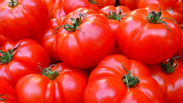 que-pasa-si-comes-tomates-cada-dia