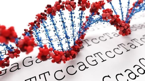 encuentran-un-metodo-para-determinar-el-riesgo-de-cada-paciente-con-diabetes-de-tipo-ii-y-personalizar-su-tratamiento