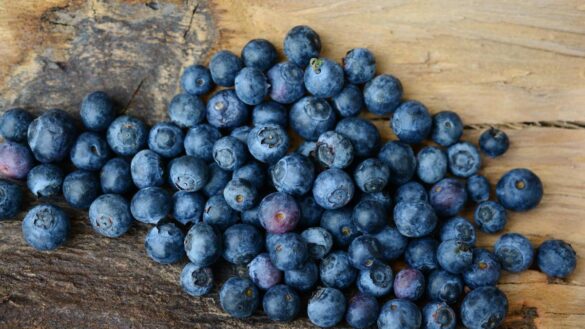 los-tres-beneficios-de-comer-arandanos-cada-dia