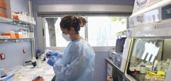el-riesgo-para-salud-publica-de-la-viruela-del-mono-es-«moderado»