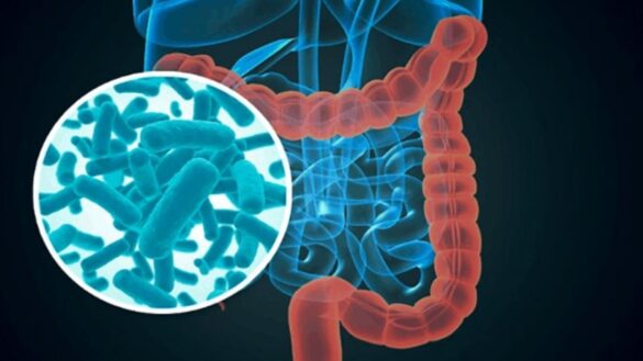 que-informacion-aportan-los-tests-de-microbioma-y-que-nos-dicen-sobre-nuestra-salud