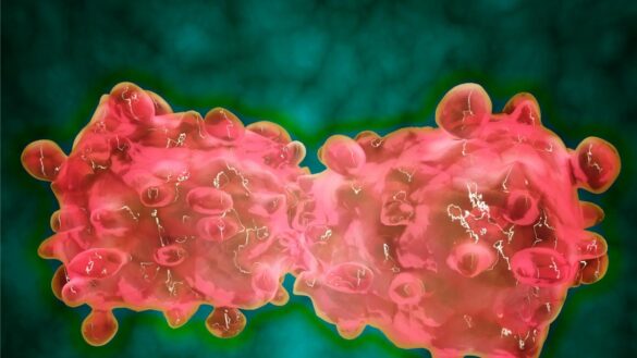 hallan-un-mecanismo-que-explica-como-‘revertir’-el-cancer:-transformar-una-celula-maligna-en-una-normal