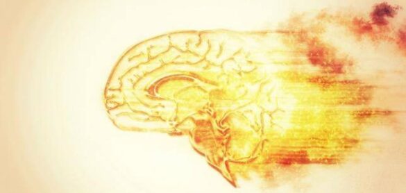 el-cerebro-esta-mas-caliente-de-lo-que-se-pensaba