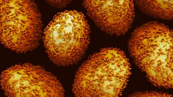 el-consumo-de-antibioticos-aumenta-el-riesgo-de-aparicion-temprana-de-cancer-de-colon