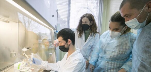 disenan-un-sensor-que-identifica-bacterias-resistentes-a-los-antibioticos-en-minutos