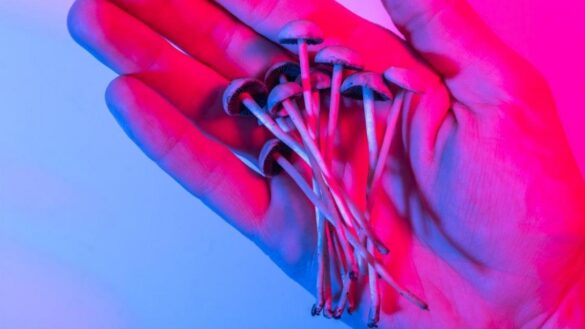 el-futuro-de-las-terapias-psicodelicas:-«producen-mejoras-significativas,-pero-a-veces-generan-crisis-o-episodios-psicoticos»
