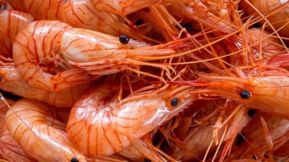 estos-son-los-alimentos-con-mayores-niveles-de-cadmio,-un-metal-pesado-toxico
