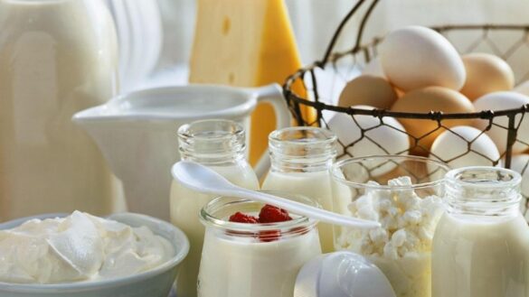 cuantas-raciones-diarias-se-deben-comer-de-lacteos-segun-la-agencia-espanola-de-seguridad-alimentaria-y-nutricion