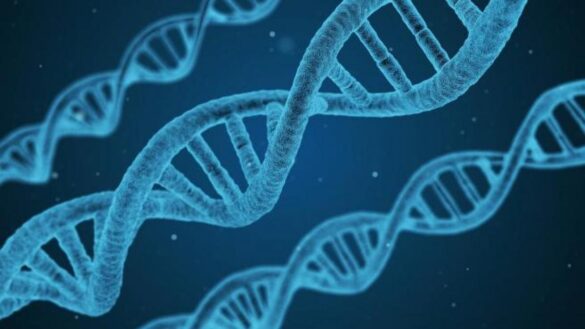 asi-es-la-iniciativa-para-catalogar-las-funciones-de-cada-uno-de-nuestros-genes