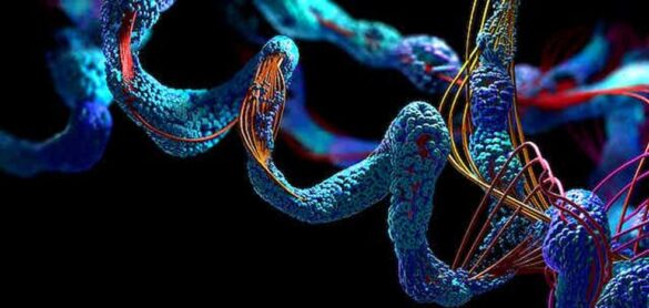 proteinas:-los-complejos-‘espaguetis’-en-3d-que-construyen-la-vida