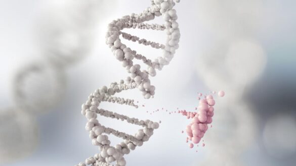 un-farmaco-que-inhibe-un-gen-comun-del-cancer-logra-estabilizar-varios-tipos-de-tumor-en-un-ensayo-de-fase-i