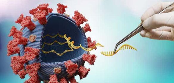 ¿podemos-predecir-la-evolucion-de-los-virus?