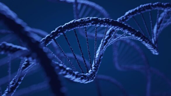como-14-familias-de-tres-continentes-heredaron-la-epilepsia-de-una-sola-persona-hace-800-anos