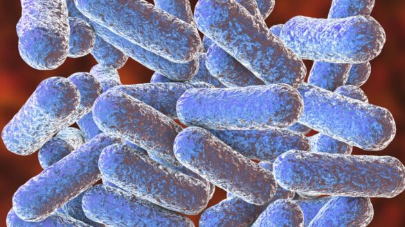 una-bacteria-de-nuestro-intestino,-posible-causa-del-cancer-de-colon