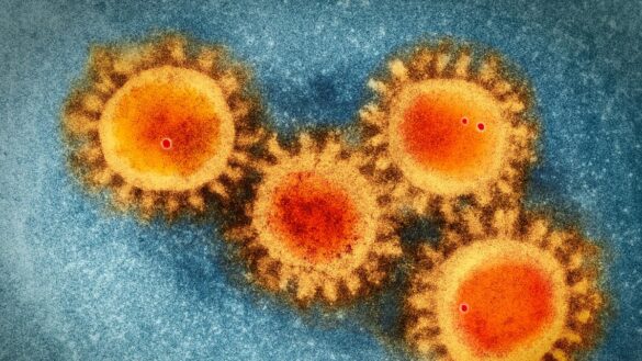 por-que-se-llama-‘perro-del-infierno’-a-la-nueva-variante-del-coronavirus