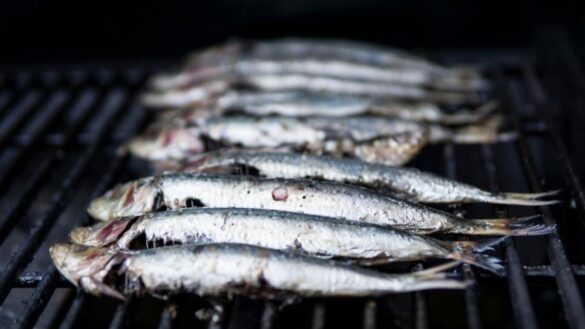 cuantas-raciones-semanales-se-deben-comer-de-pescado,-segun-la-agencia-espanola-de-seguridad-alimentaria-y-nutricion
