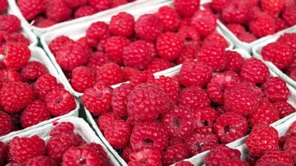 como-podemos-reforzar-el-sistema-inmune-a-traves-de-la-alimentacion-para-mantener-a-raya-los-resfriados