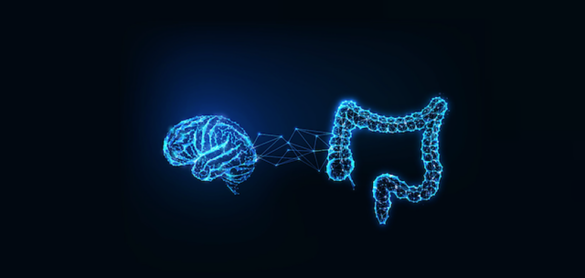 lo-que-pensamos-y-sentimos-afecta-a-la-microbiota-(y-viceversa)