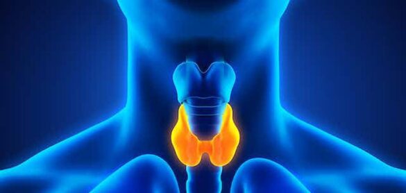 cancer-de-tiroides:-¿se-ha-disparado-su-incidencia-o-le-hacemos-demasiado-caso?