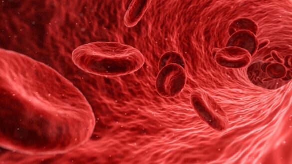 una-sola-terapia-ataca-a-los-seis-virus-mas-comunes-despues-de-un-trasplante-de-medula