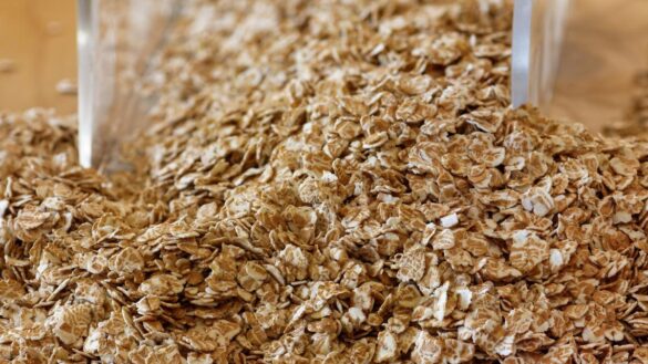 estos-son-los-5-motivos-por-los-que-deberias-incluir-avena-en-tu-dieta,-segun-un-nutricionista