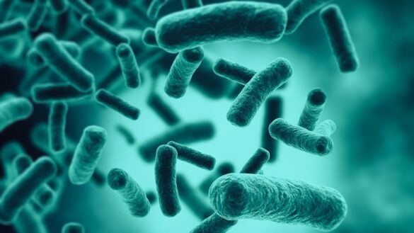 nanoparticulas-de-plata,-una-nueva-herramienta-para-combatir-las-superbacterias