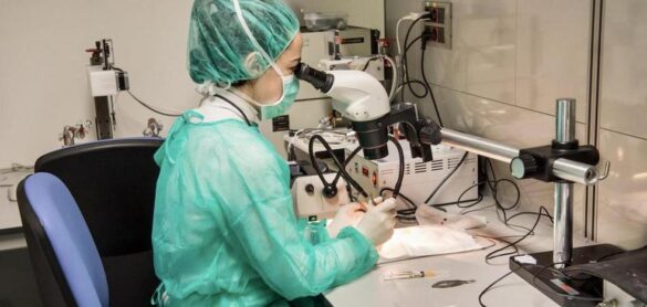 identificada-una-molecula-que-aumenta-la-supervivencia-neuronal-tras-una-lesion-medular