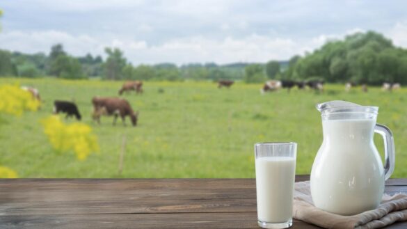 como-y-por-que-aparece-la-alergia-a-la-leche-de-vaca,-la-condicion-que-ha-causado-la-muerte-de-una-adolescente-en-ciudad-real
