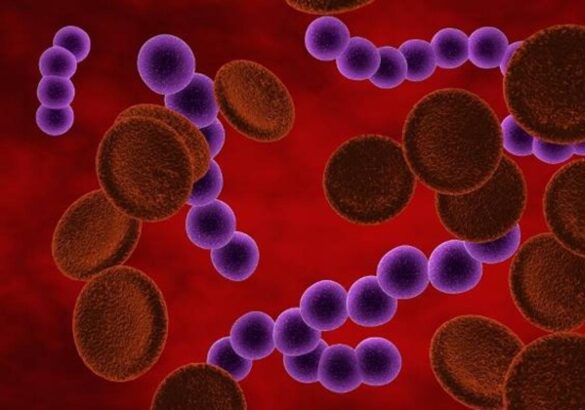 como-saber-si-tu-hijo-esta-contagiado-por-estreptococo-a,-la-bacteria-que-afecta-a-ninos-entre-3-y-15-anos