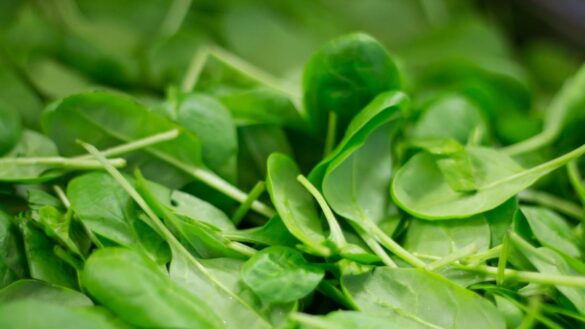 vitamina-k,-decisiva-para-un-envejecimiento-saludable:-¿que-alimentos-la-aportan?