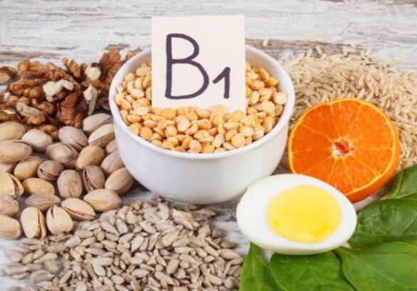 el-descubrimiento-de-la-tiamina-o-vitamina-b1:-una-aventura-cientifica