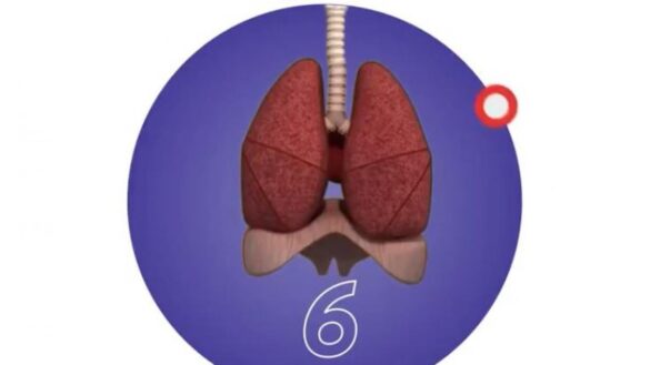 el-test-online-de-un-hospital-para-saber-como-de-fuertes-son-tus-pulmones