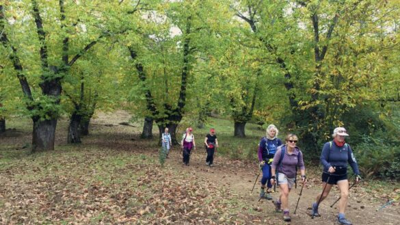 marcha-nordica:-beneficios-para-la-salud-de-caminar-con-bastones-y-7-consejos-para-practicarla-bien