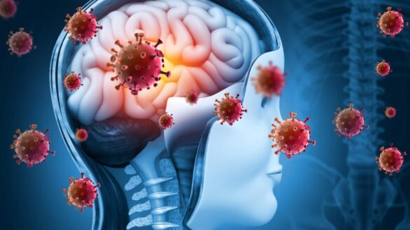 el-motivo-por-el-que-los-casos-de-la-mortifera-meningitis-bacteriana-estan-aumentando-en-espana