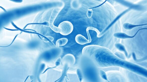 infertilidad,-la-pandemia-que-«puede-ser-mas-peligrosa-que-el-covid-para-la-humanidad»