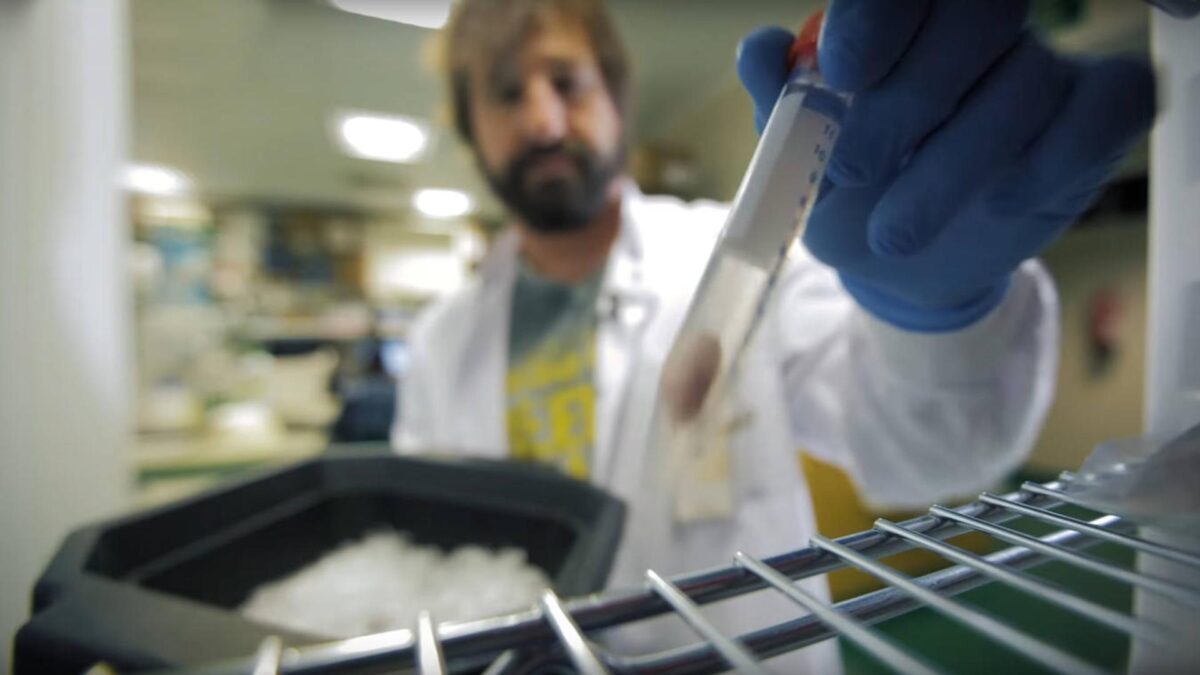 Una medicación adaptada a cada genética dispararía la eficacia y reduciría los daños