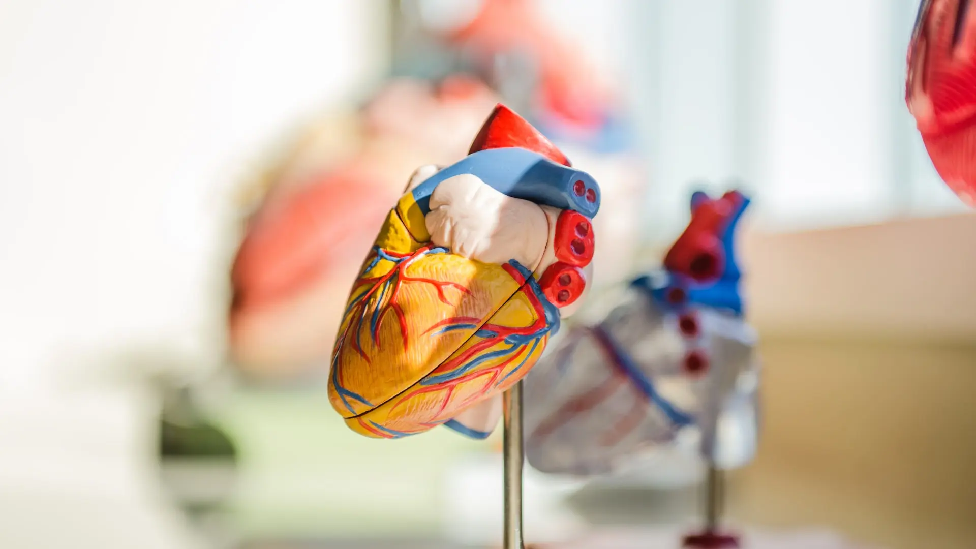 los-cuatro-habitos-diarios-que-debilitan-la-salud-de-nuestro-corazon,-segun-un-medico